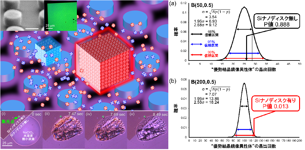 公募研究C・東北大学多元物質科学研究所・新家寛正助教、計画班B02・東北大学多元物質科学研究所・押切友也准教授らの共同研究グループの論文がThe Journal of Physical Chemistry Letters誌に掲載されました。