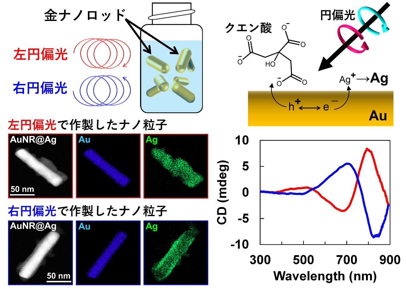 Koichiro Saito (National Institute of Advanced Industrial Science and Technology (AIST)) has published a research article in Nano Lettes.