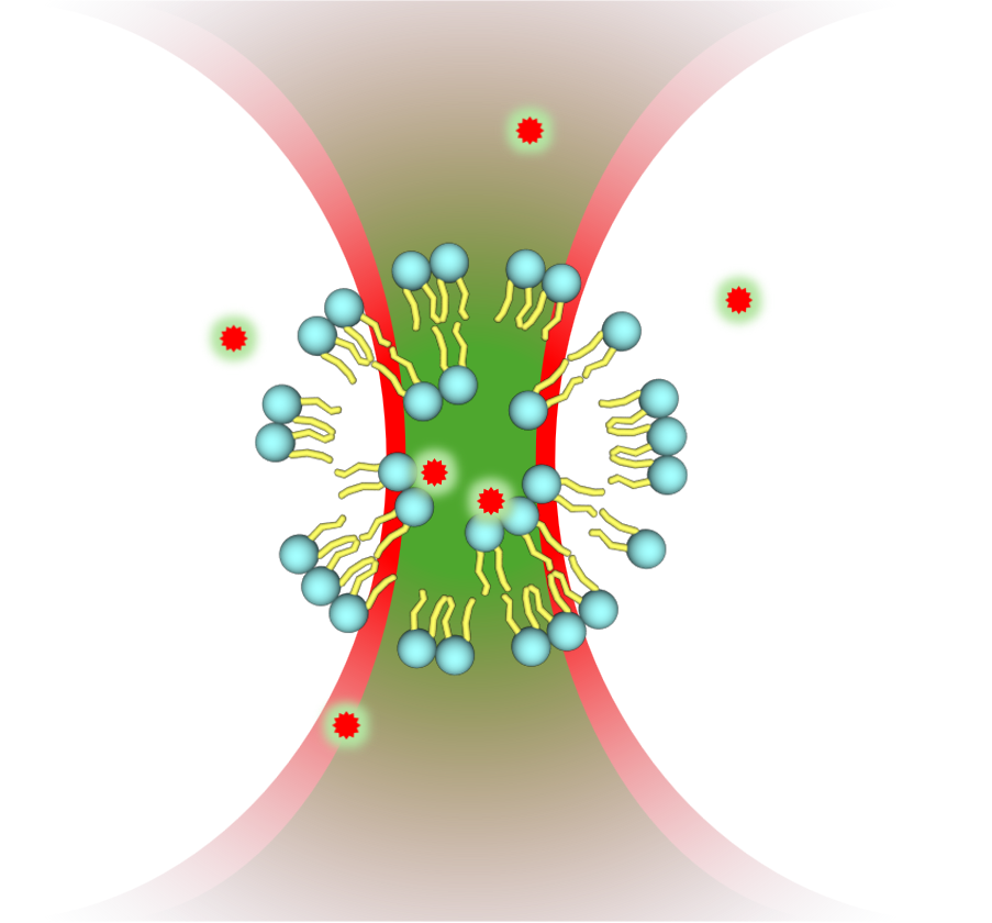 Prof. Yasuyuki Tsuboi and Dr. Ken-ichi Yuyama (Osaka Metropolitan Univ.) have published a research article in Analytical Chemistry.