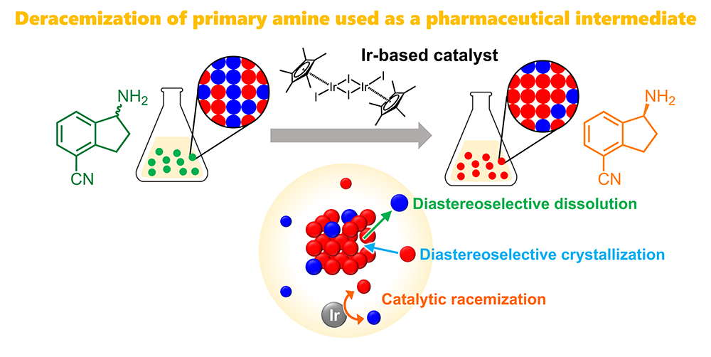 Ryusei Oketani (Osaka University) has published a research artcle in Crystal Growth & Design.