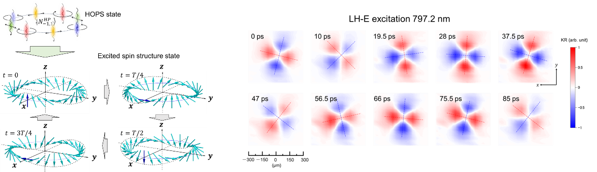 Takashige Omatsu (Chiba University), and Nobuhiko Yokoshi (Osaka Metropolitan University) has published a collaborative research article in Optica Quantum.