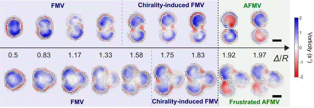 Prof. Yusuke Maeda (Kyoto Univ.) have published a research article in Physical Review Research.