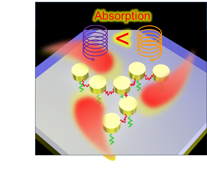 Tomoya Oshikiri (Tohoku University) and Hiromasa Niinomi (Tohoku University) have published a collaborative research article in Photochemical & Photobiological Sciences.